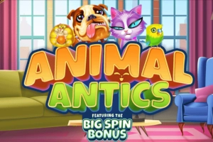 Animal Antics