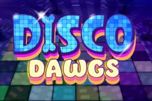 Disco Dawgs