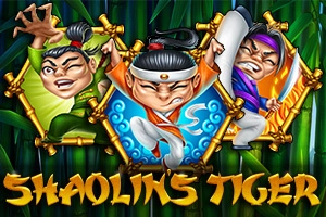 Shaolin's Tiger