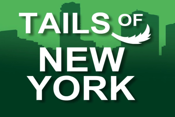 Tails Of New York