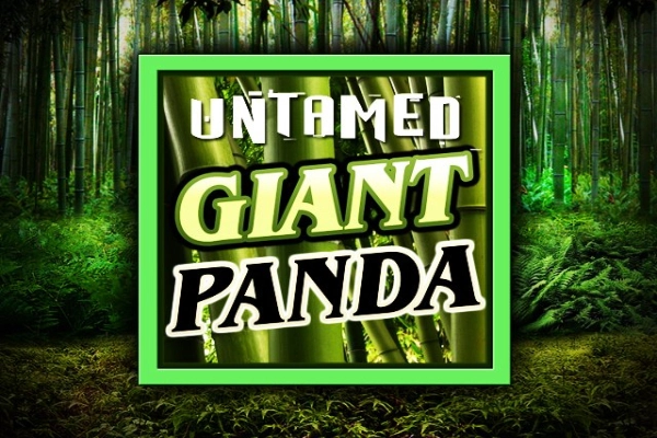 Untamed Giant Panda